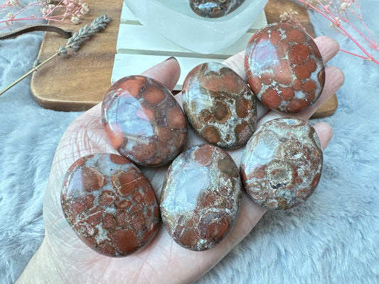 Small Red King Cobra Jasper Palm Stone